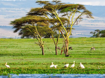 Adventurous activities to Do in Naivasha Adventurous activities to Do in Naivasha