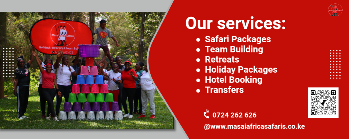 Masai Africa Safaris Services