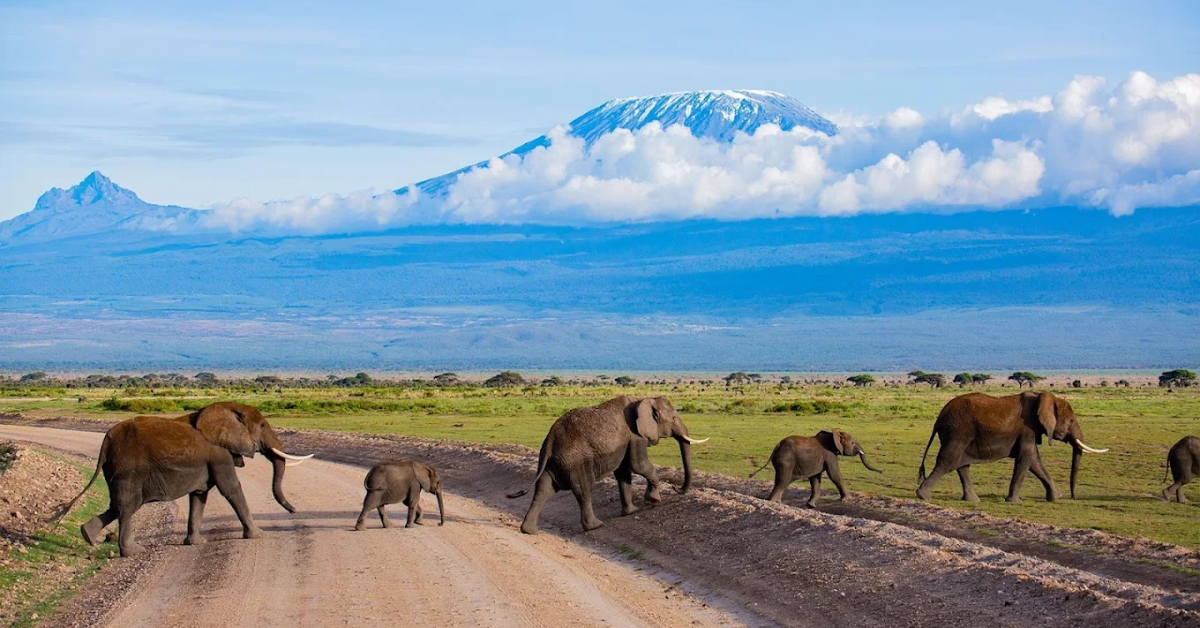 Amboseli Outdoor Team Building