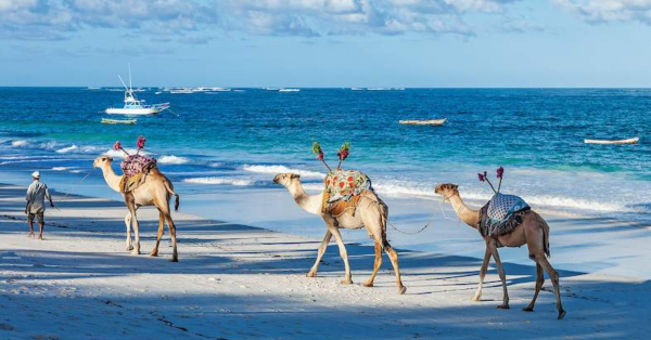 Best Team Building Activities and Destinations