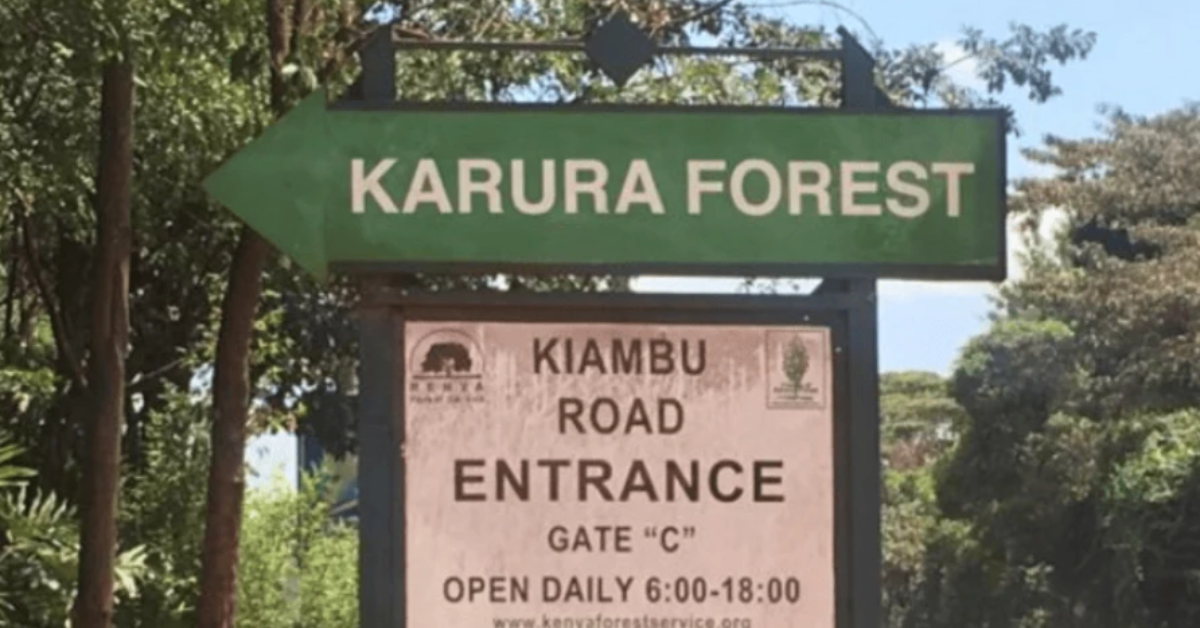Karura Forest Park Fees