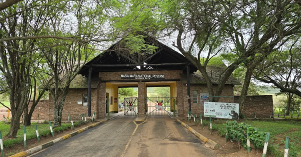 Masai Mara Safari Packages