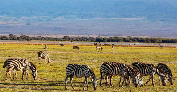 Family Holidays in Masai Mara