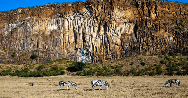 Family Holidays in Naivasha