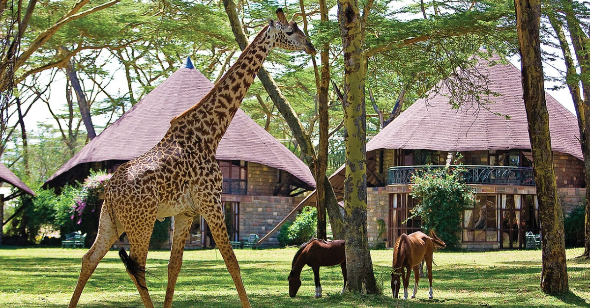Lake Naivasha Sopa Lodge