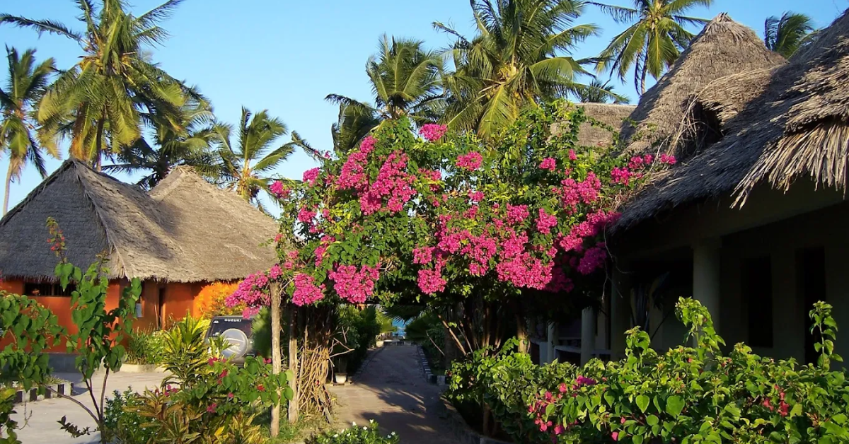 Paje Beach Team Building