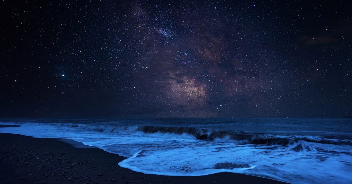 Wapenzi Stargazing Night