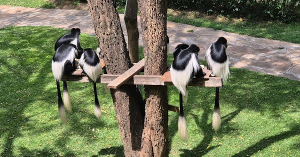 Osotua Luxury Resort