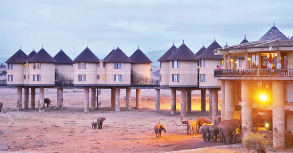 Salt Lick Safari Lodge