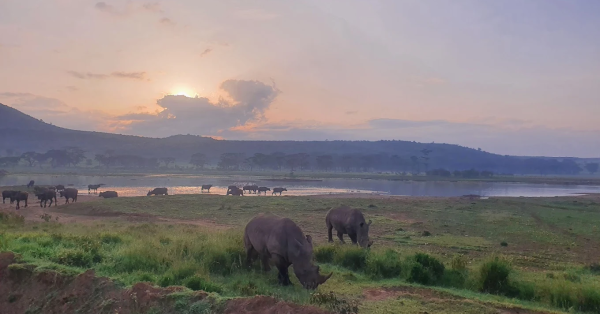 Sarova Lion Hill Lodge