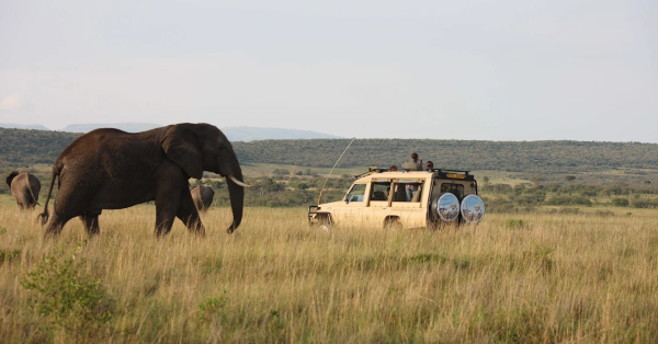 Sarova Mara Game Camp