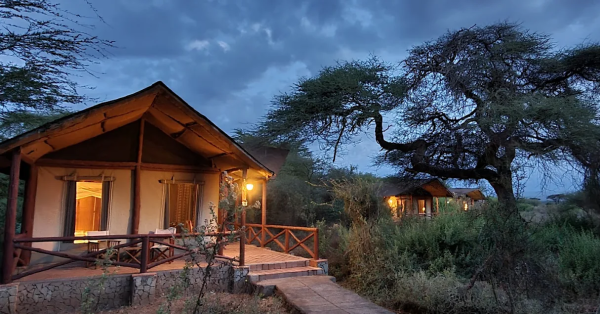Kilima Safari Lodge