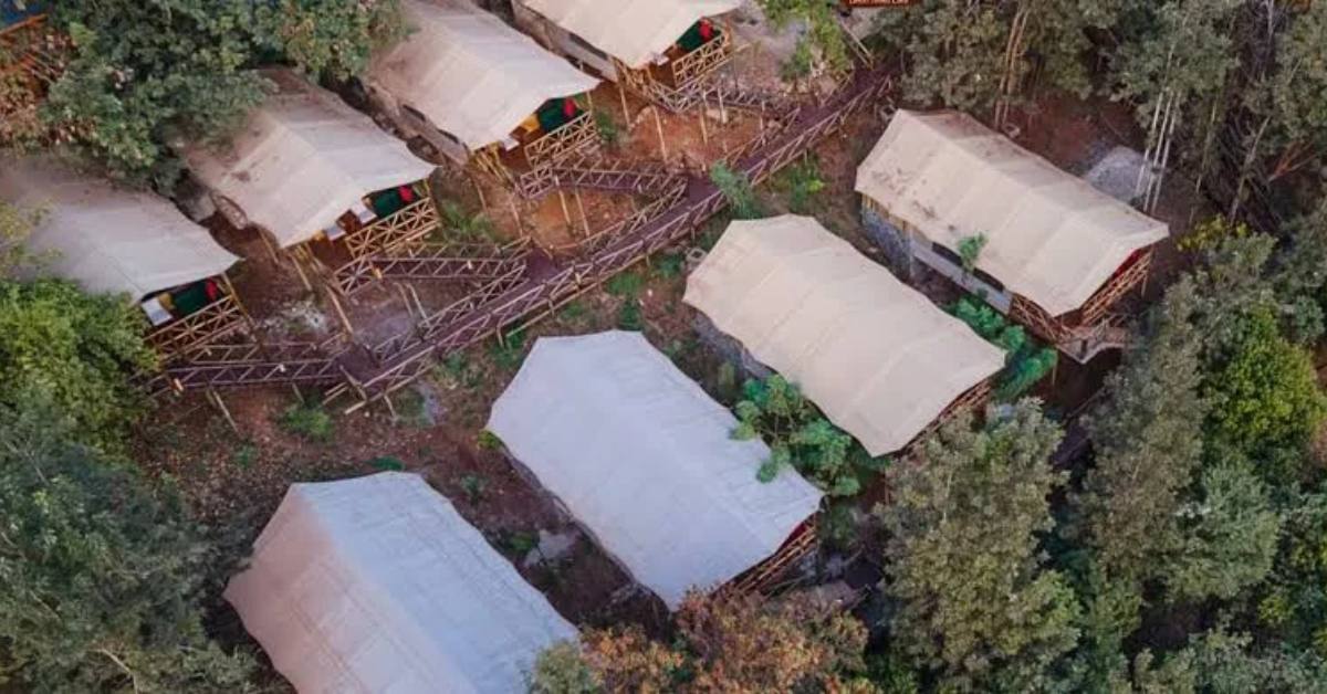 Nokras Enkare Sagana