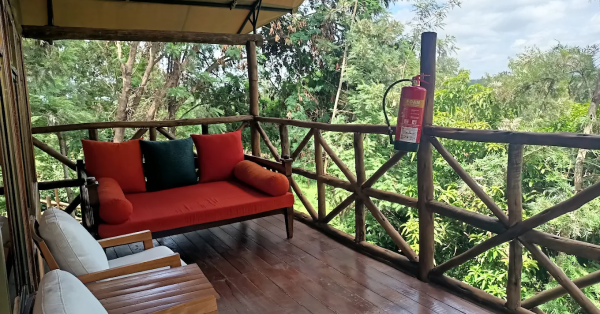 Nokras Enkare Sagana