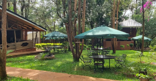 Nokras Enkare Sagana