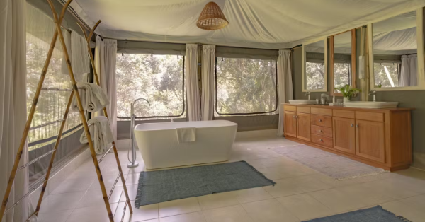 Olesamara Collection