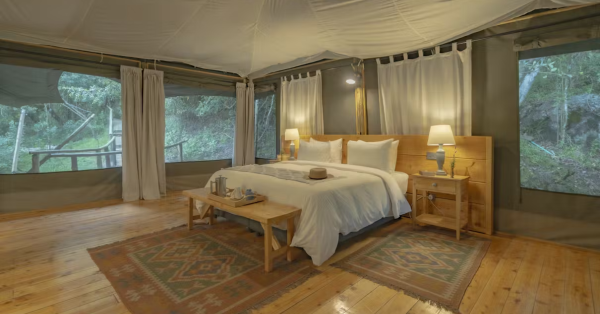 Olesamara Collection