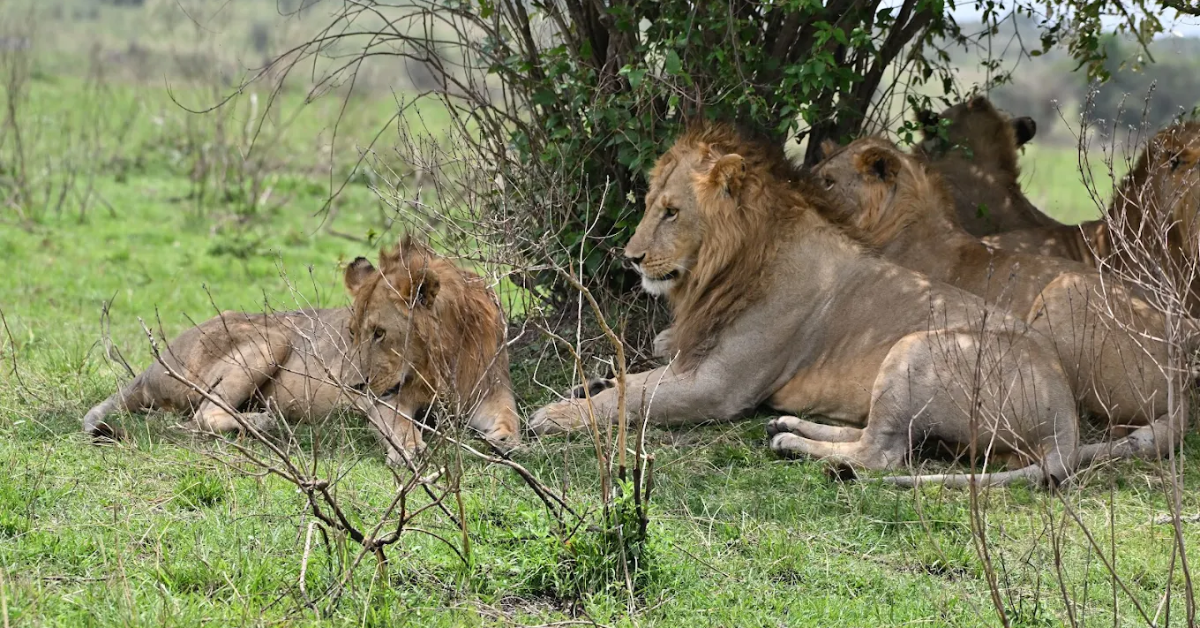 Holiday Destinations in Kenya