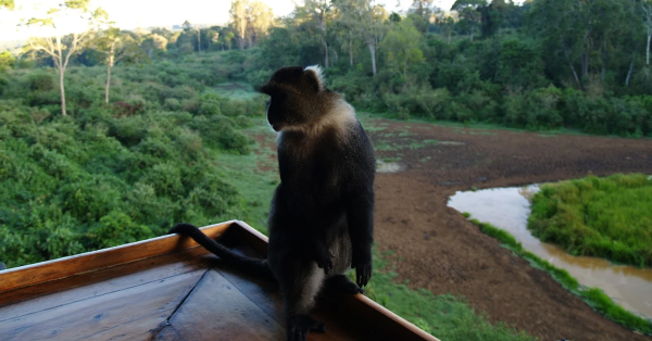 Serena Mountain Lodge