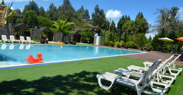 Misty Mountain Lodge