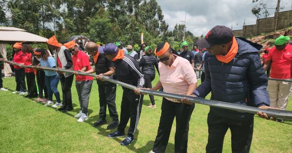 Best Team Building Venues in Karen