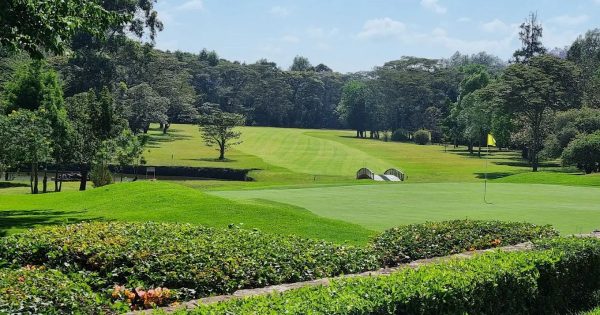 Best Team Building Venues in Karen