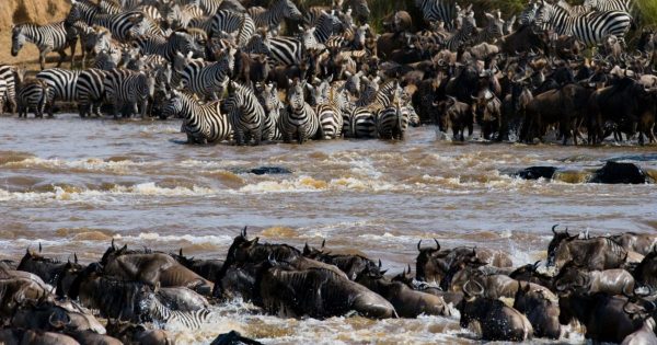 Outdoor Team Building Safaris in Kenya