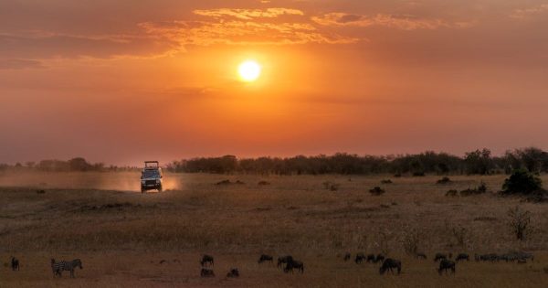 Amboseli Team Building Packages
