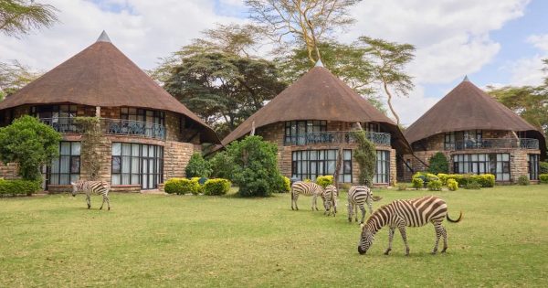 Corporate Retreats in Naivasha